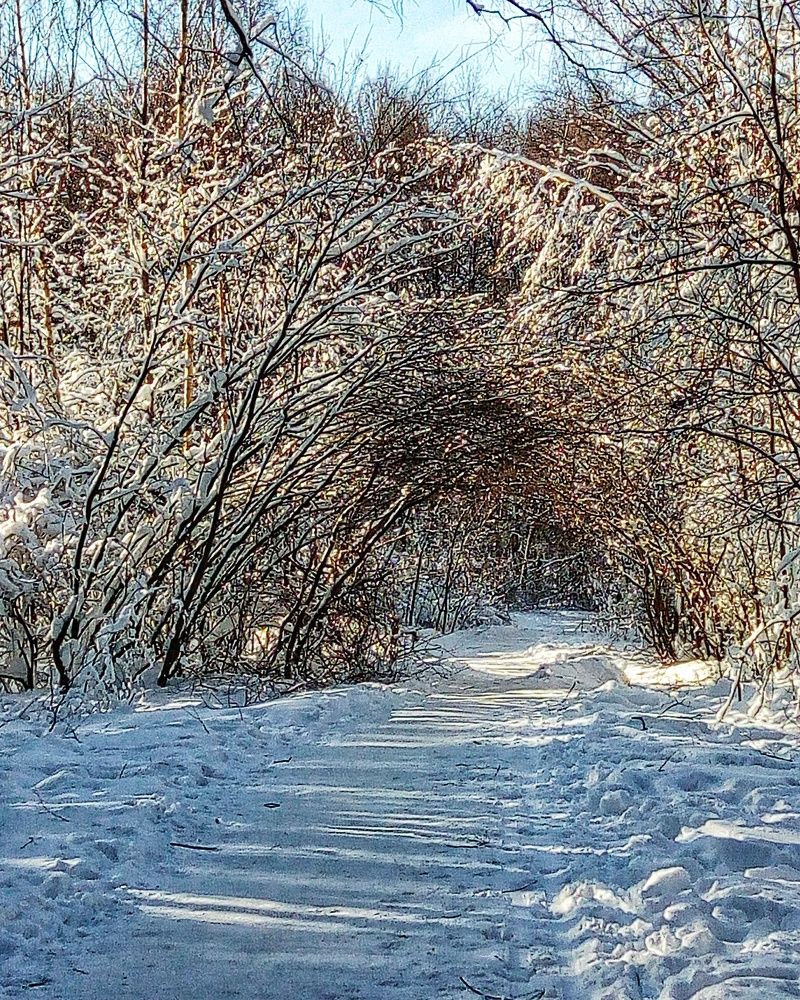 Photograph by Любовь Сухова