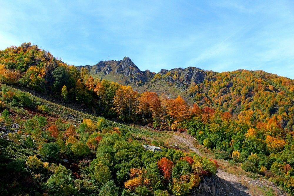 Photograph by Galina Tsmyg