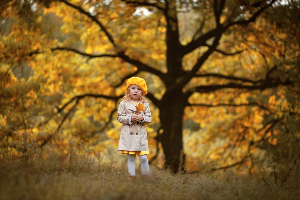 Желтое дерево