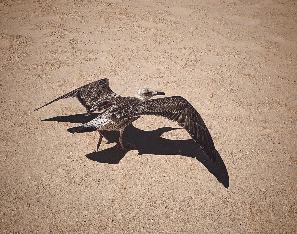 Photograph by Виктория Селютина