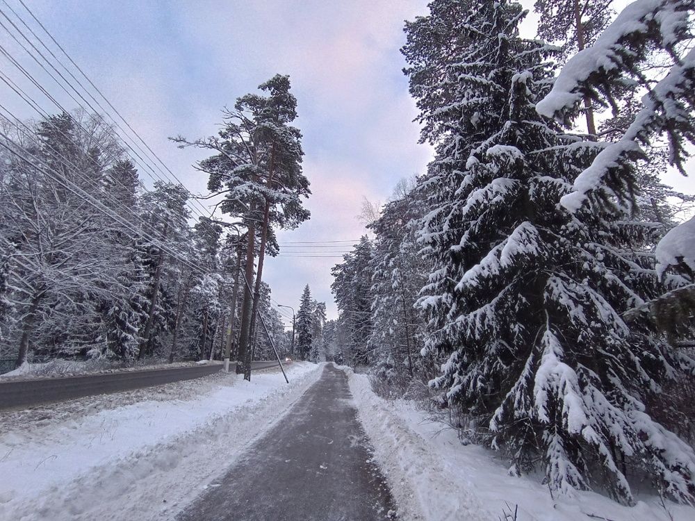 Фотография автора Ольга Малкова