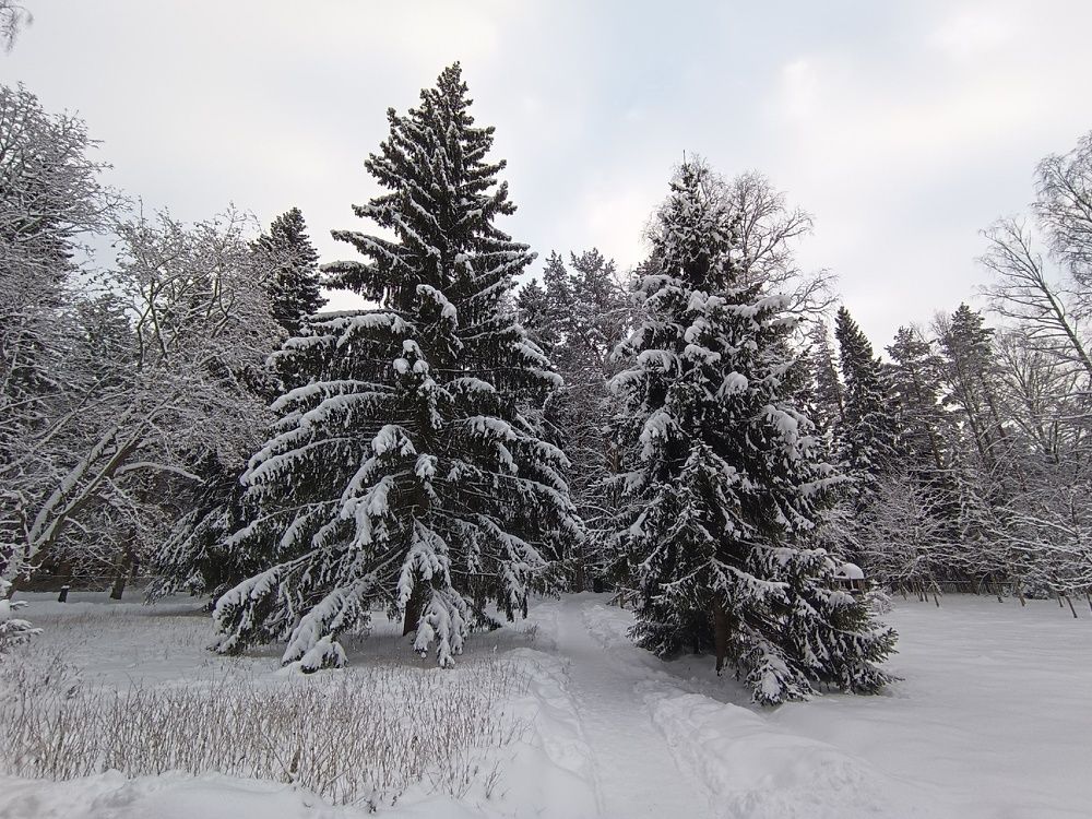 Фотография автора Ольга Малкова