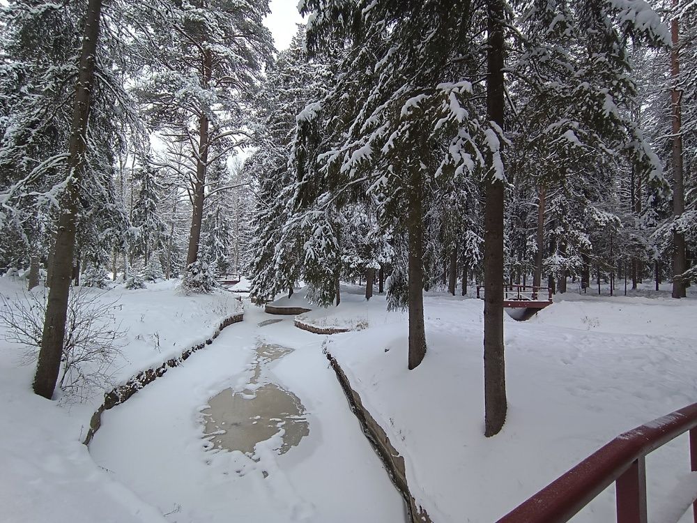 Фотография автора Ольга Малкова