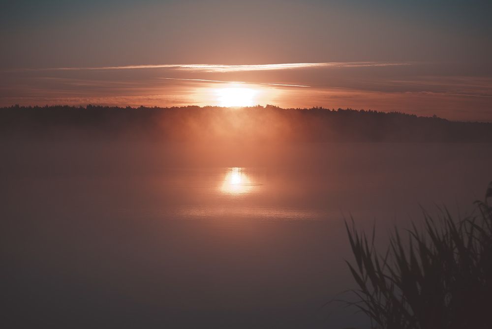 Photograph by Eugen Tamara