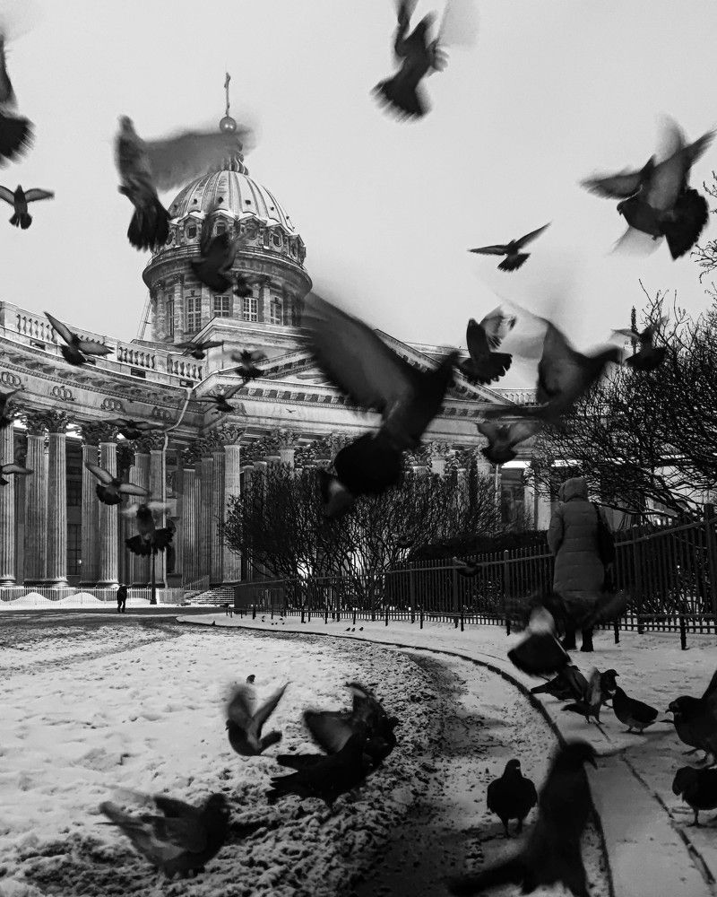 Photograph by Николай Сапожников