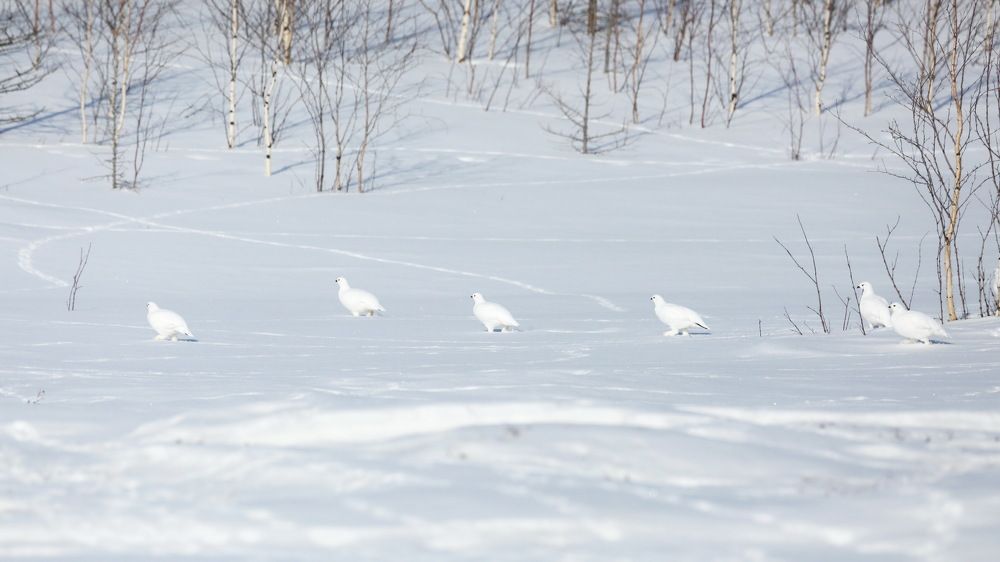 Фотография автора Мария Черница