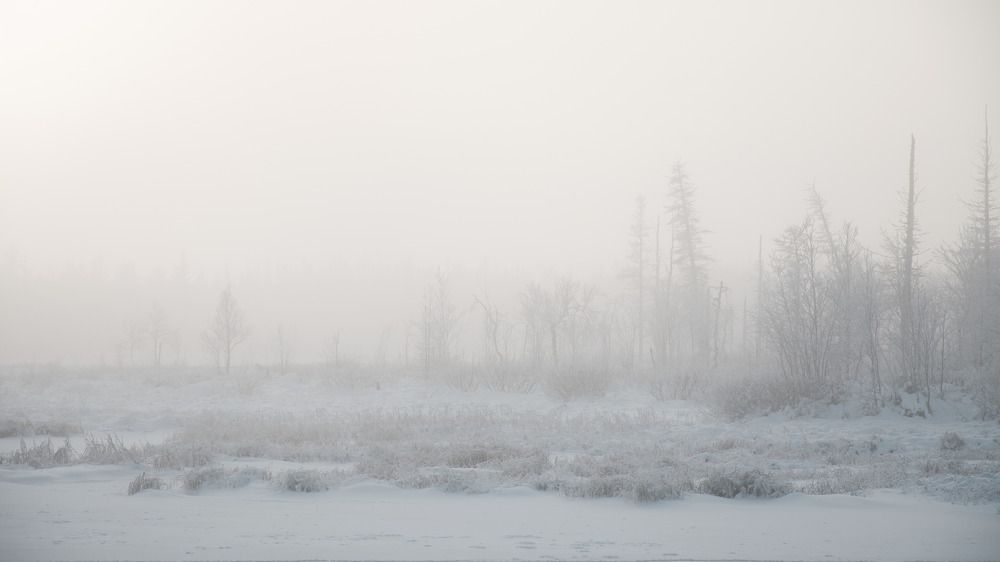 Фотография автора Мария Черница