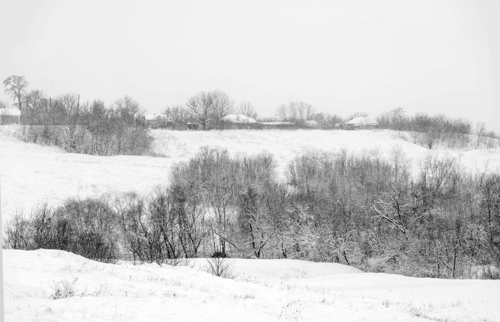 Photograph by Кристина Присакарь