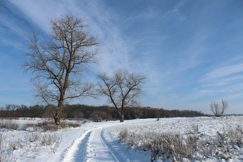 Photograph by Galina Tsmyg