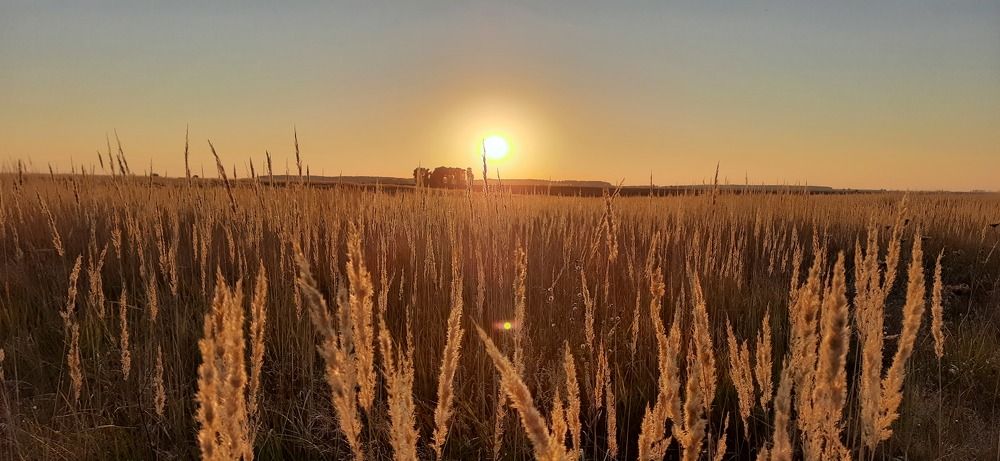 Photograph by Николай Будаловский