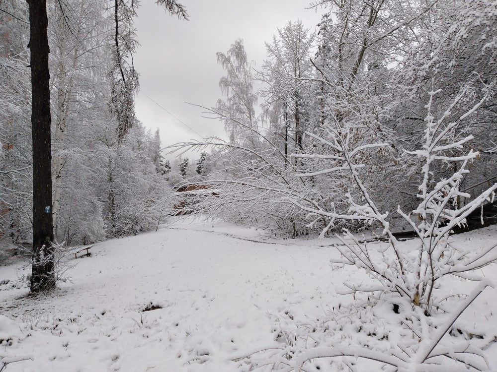 Зимняя сказка