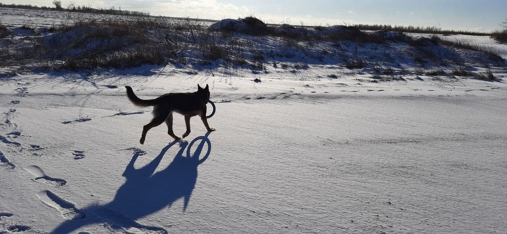 Photograph by Николай Будаловский