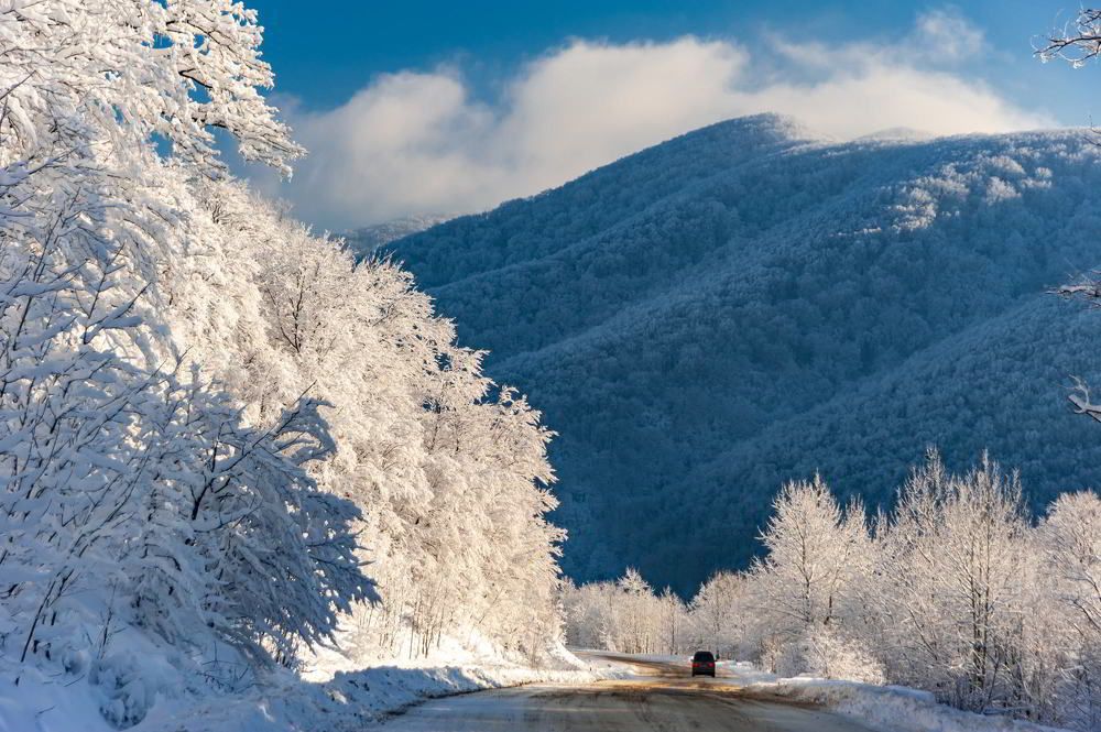 Photograph by Виктор Лагашев