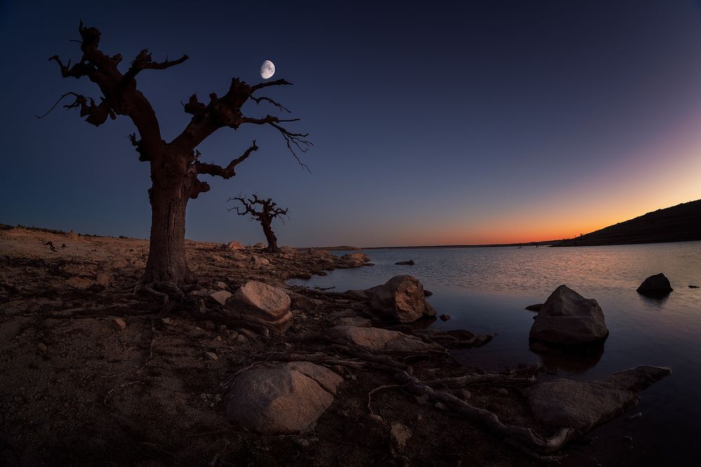 Photograph by SORAYA SAMPEDRO