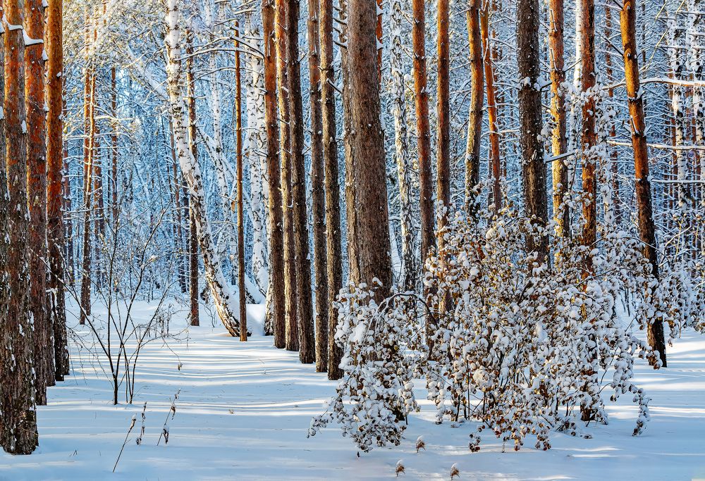 Photograph by Иван Логвинов