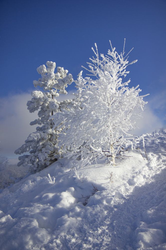 Photograph by Елена Павлова