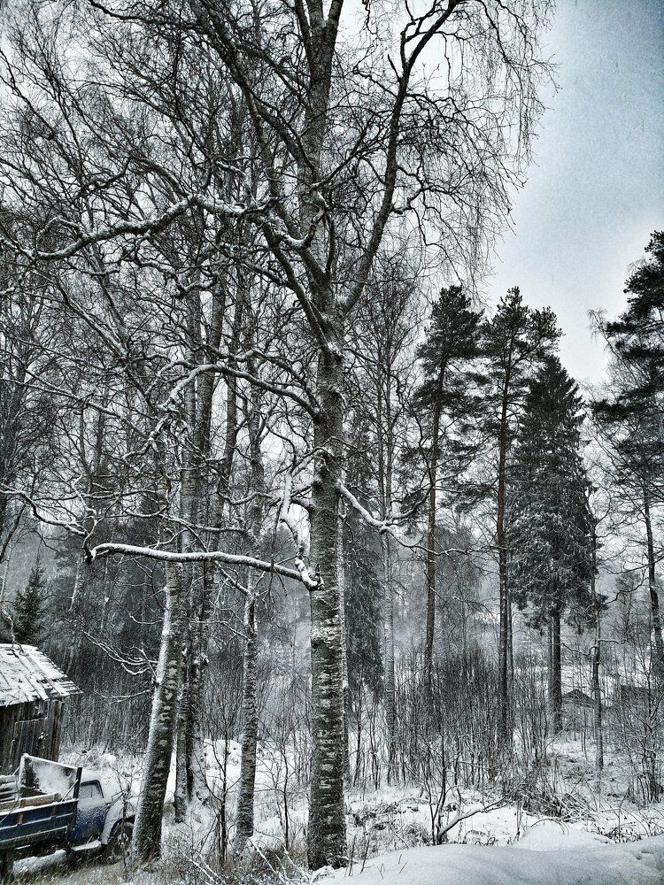 Фотография автора Марина Алексеевская