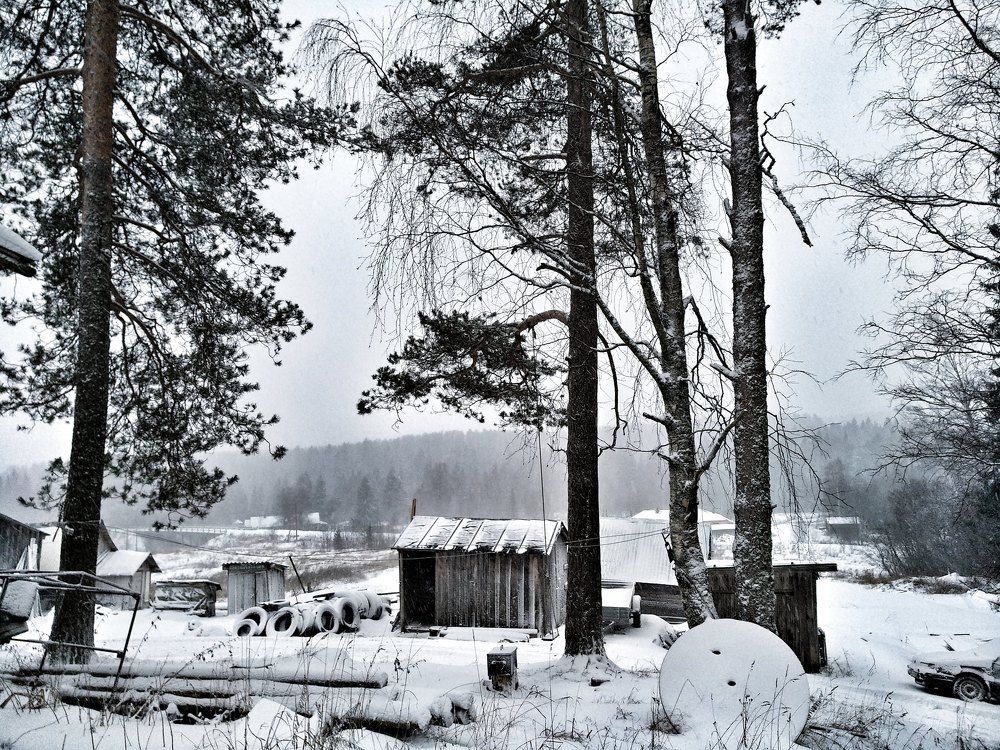 Фотография автора Марина Алексеевская