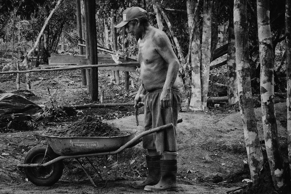 Old Warao working the land