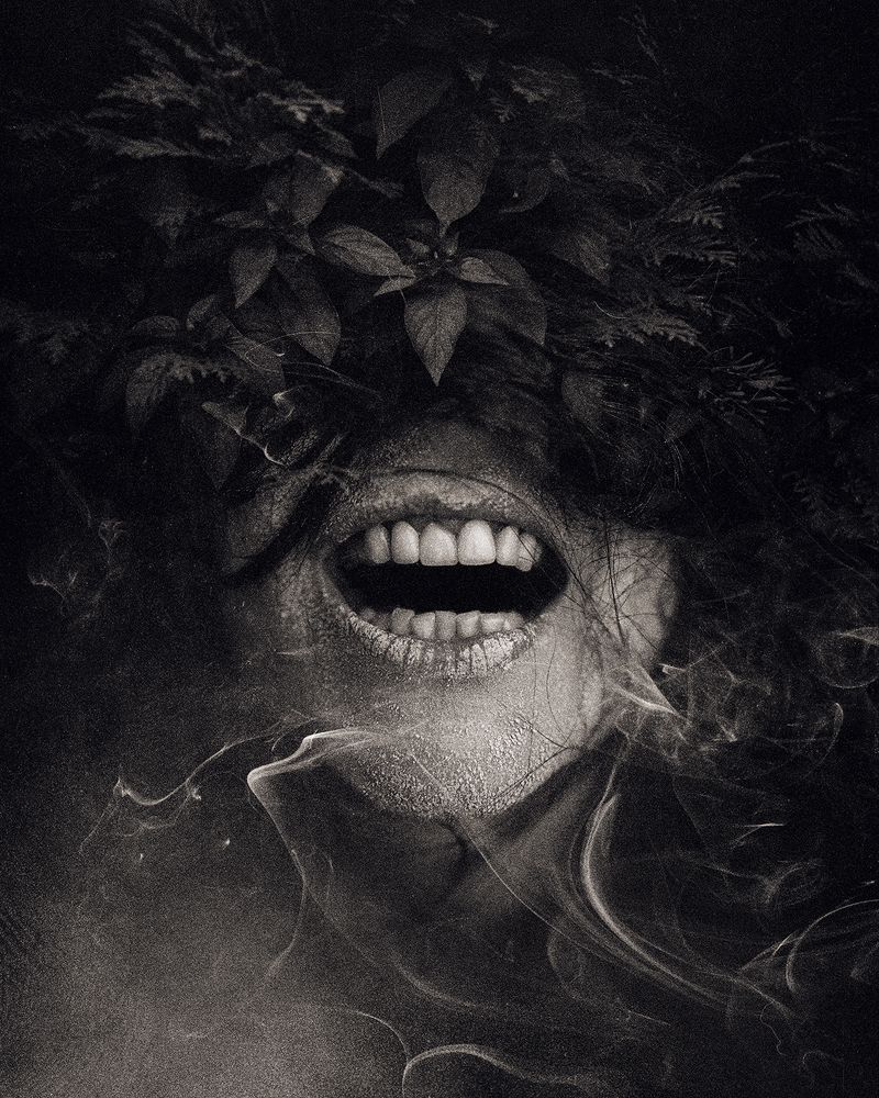 Photograph by Moga Alexandru