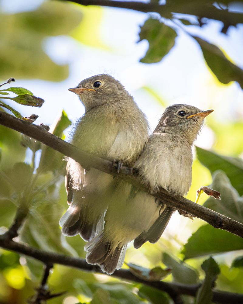 Photograph by Monica Molina