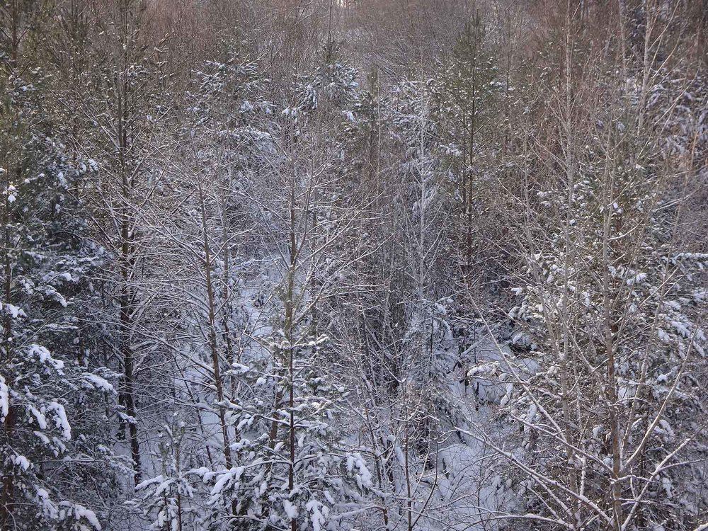 Photograph by Игорь Пшеничников