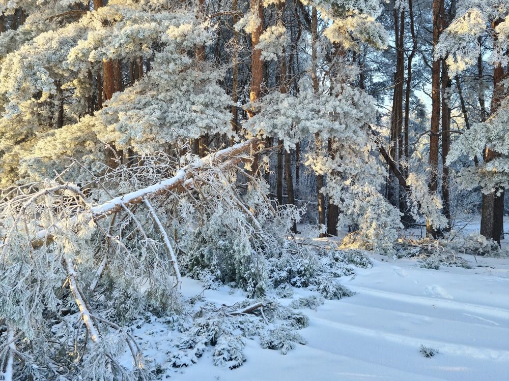 Photograph by Елена Квасова