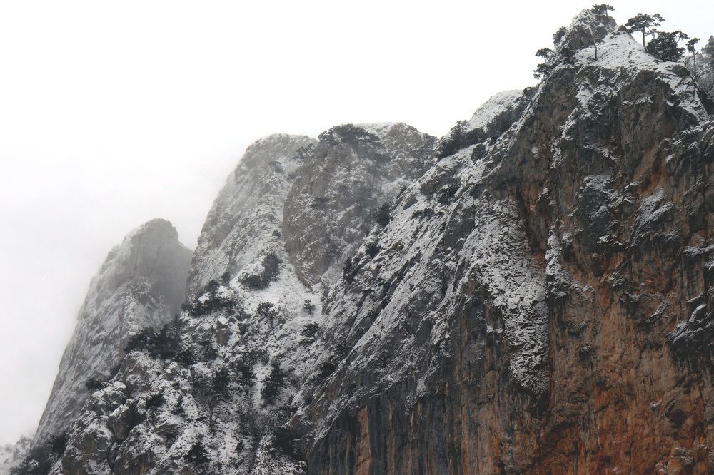 Photograph by Анатолий Вивдич