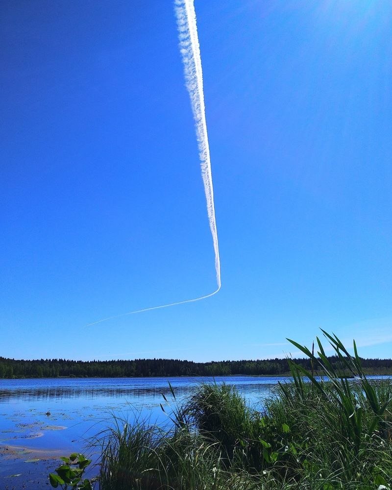 Фотография автора Марина Алексеевская