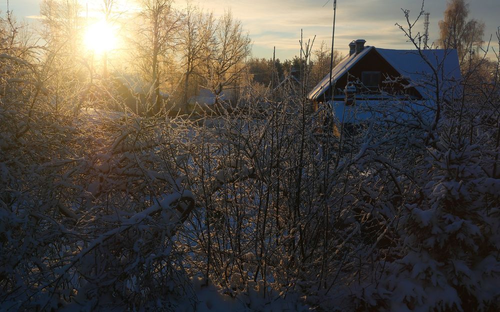 Photograph by Александр Пинаев