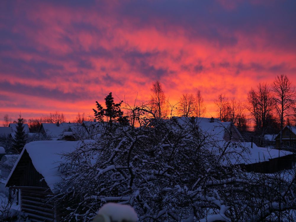 Photograph by Александр Пинаев