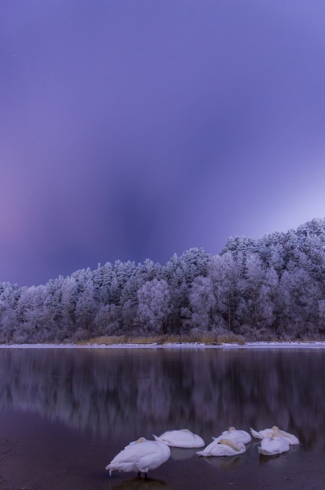 Photograph by Артём Амельянчик