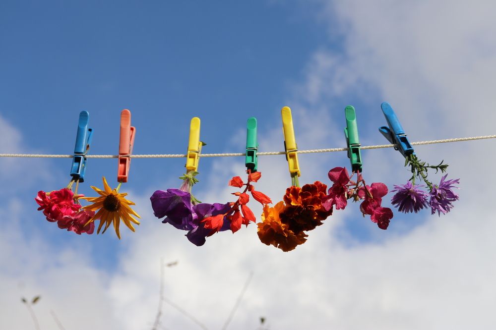 Фотография автора Алексейчик Дмитрий