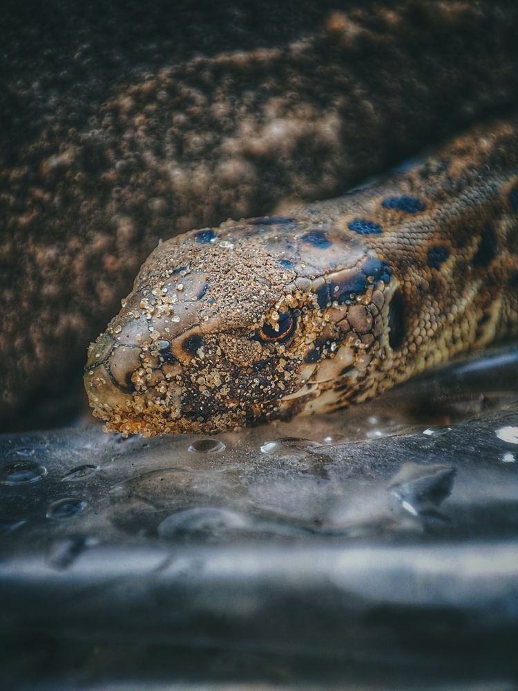 Photograph by Konstantin Martynov