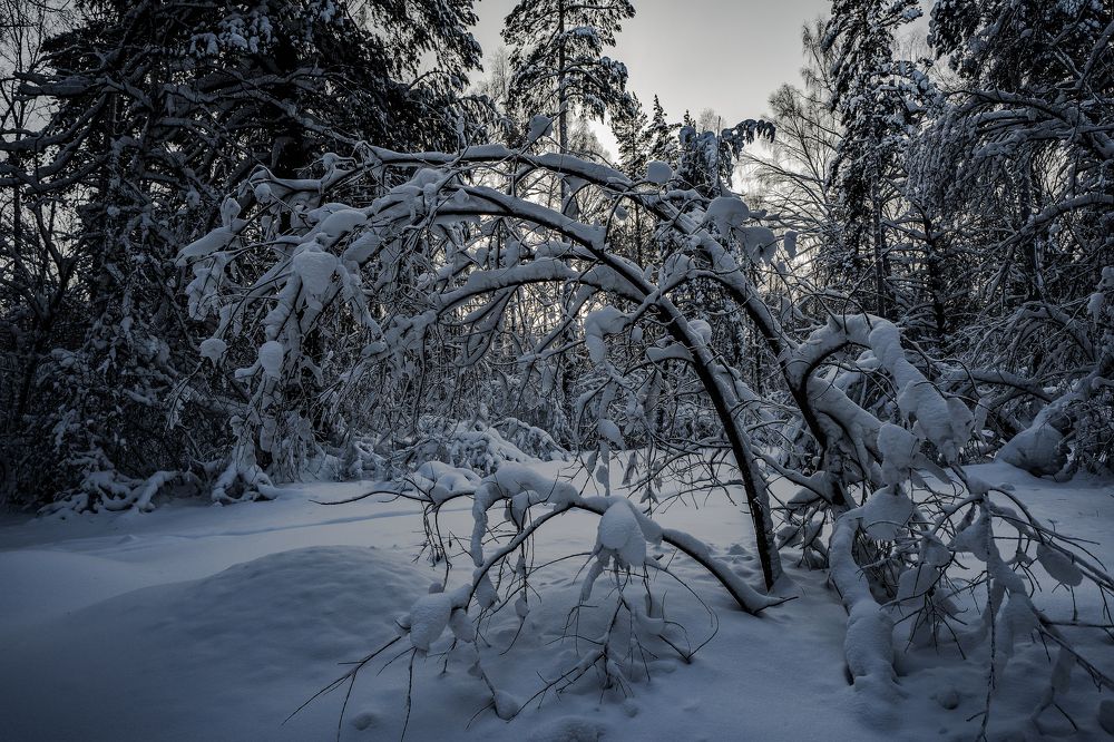 Photograph by Константин Щербаков