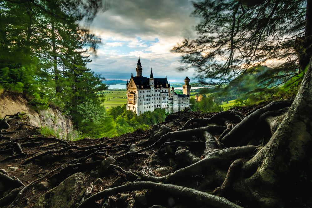 Photograph by Agnieszka Wieczorek