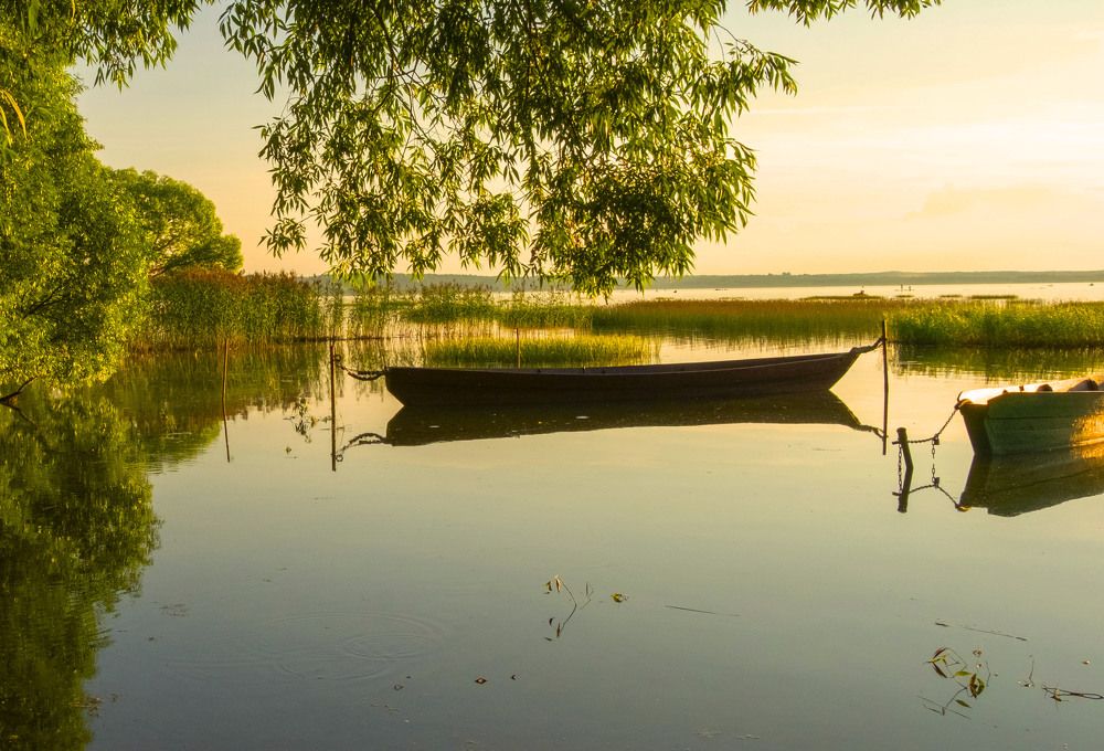 Фотография автора Наталья Липовская