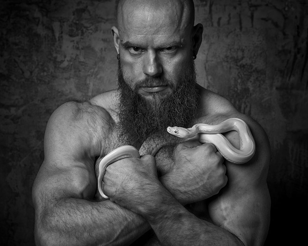 Фотография автора Дмитрий Вавилов