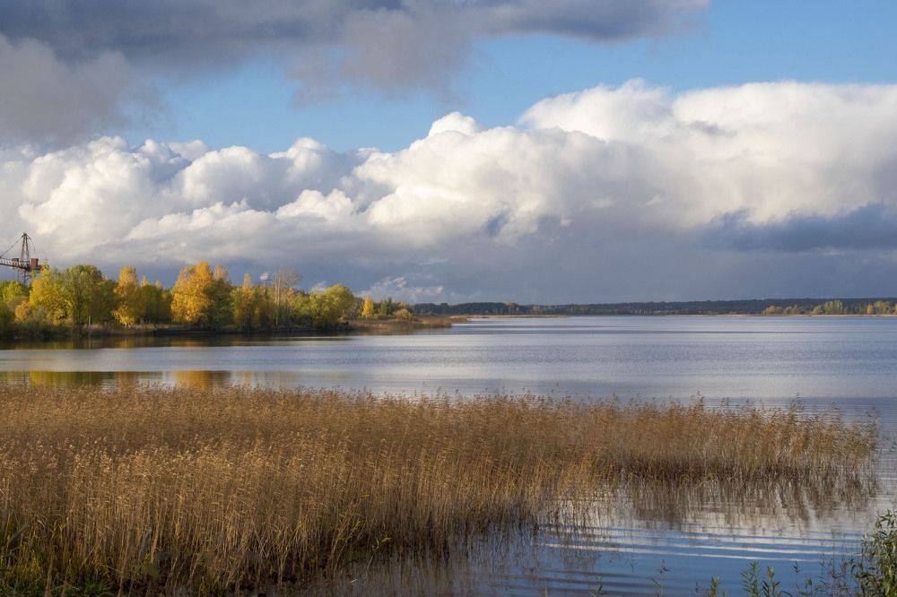 Фотография автора Наталья Липовская