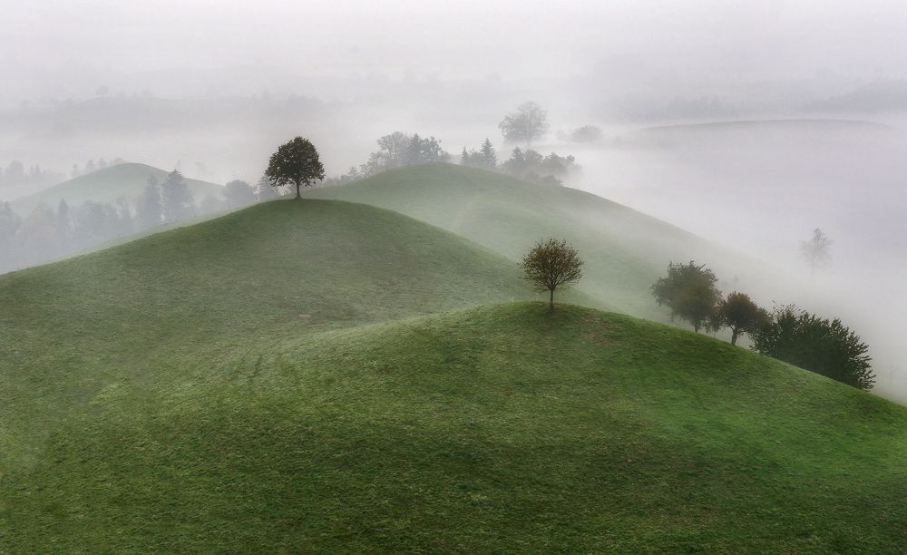 Photograph by Галина Хвостенко