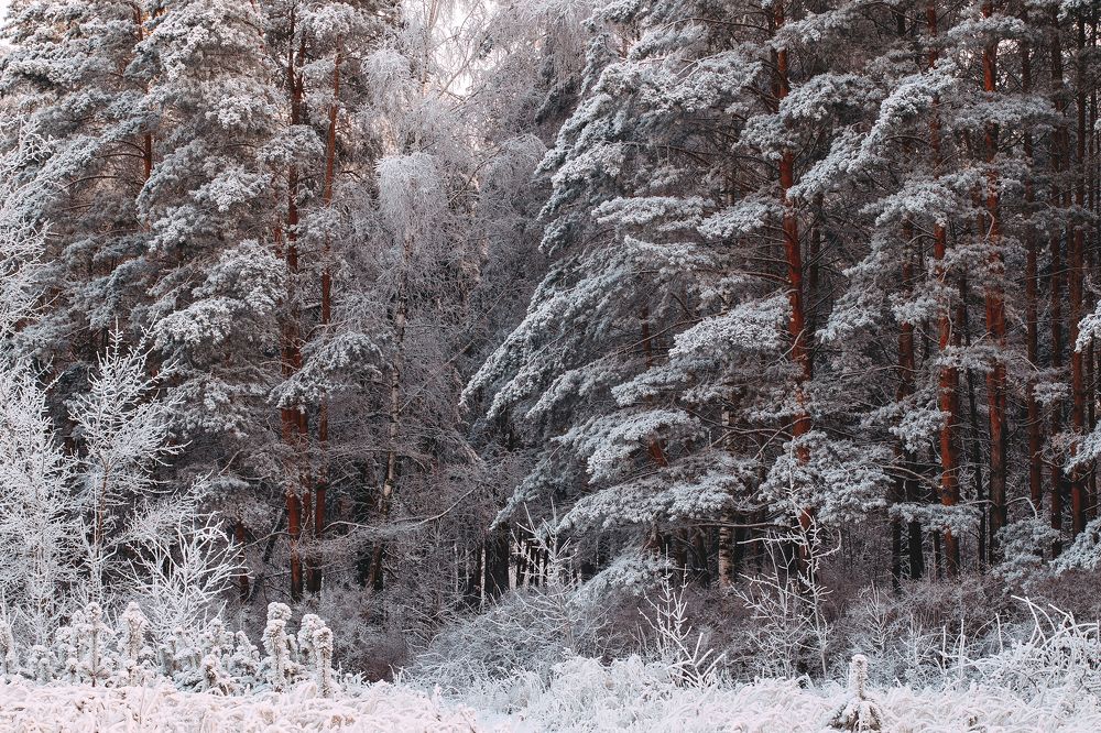 Photograph by Татьяна