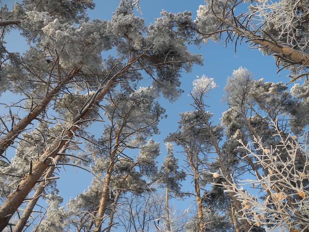 Photograph by Андрей Головин