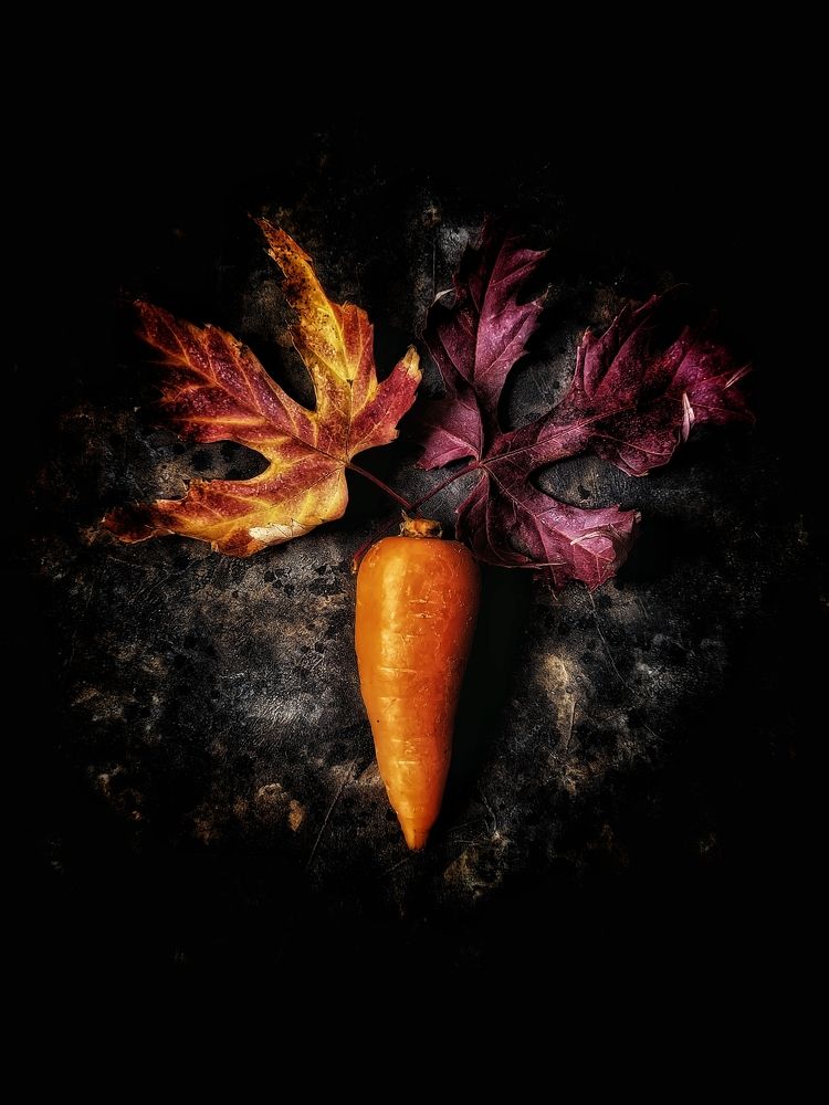 Фотография автора Ольга Игуменова