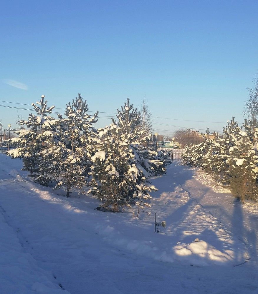 Photograph by Елена Андреевна