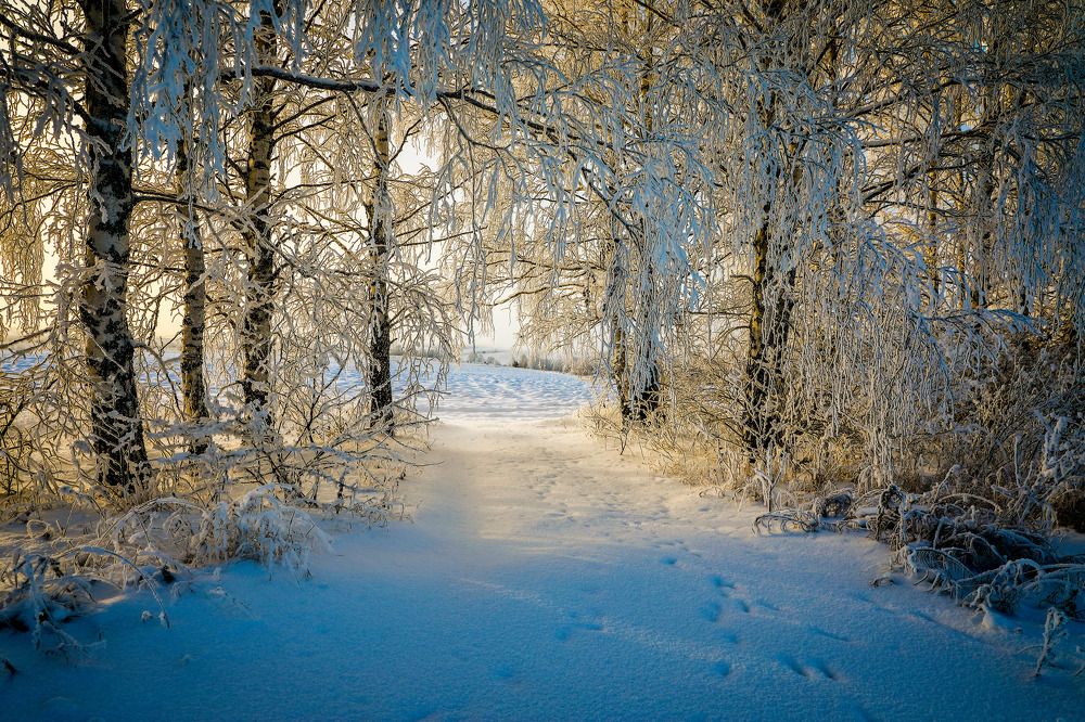 Фотография автора Юрий Фефилов
