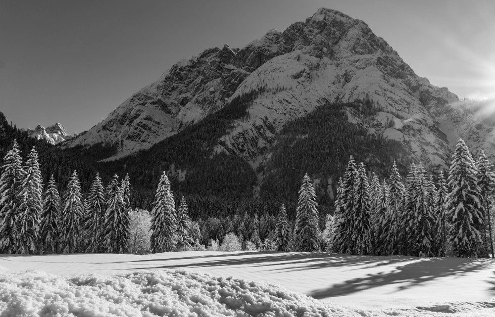 Фотография автора Crespan Terry