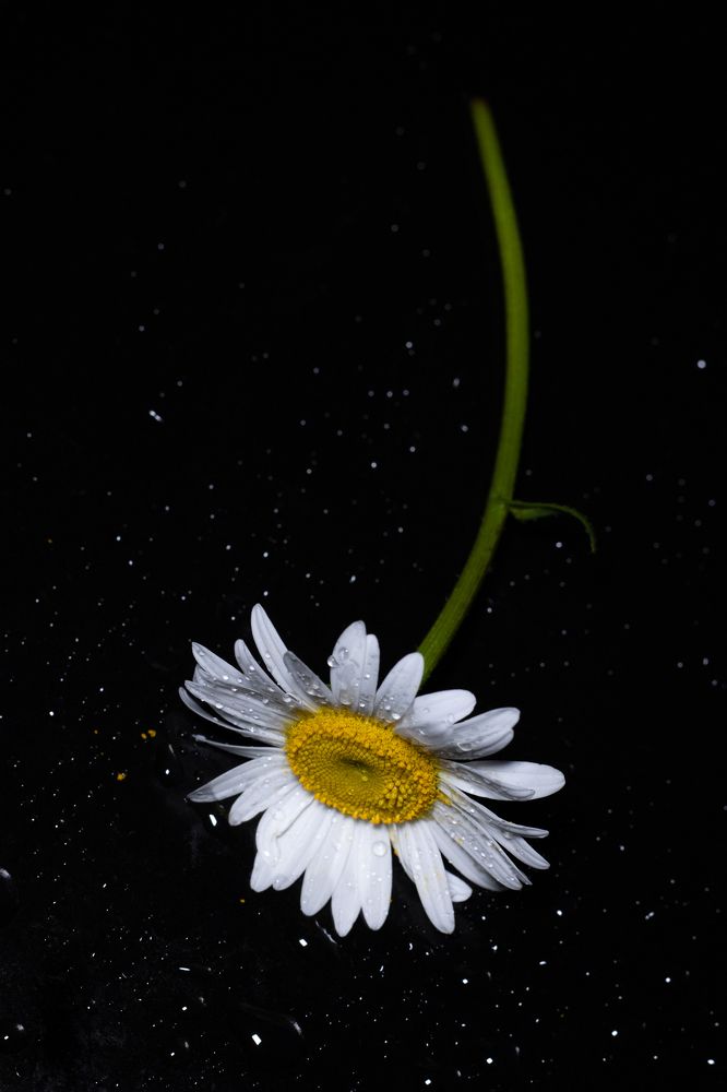 Photograph by Наталья Мотрий