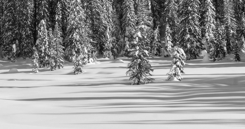 Фотография автора Crespan Terry