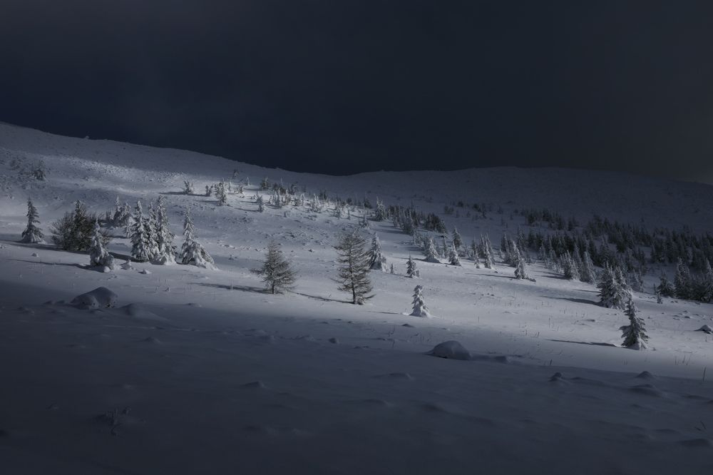 Photograph by Шевченко Николай