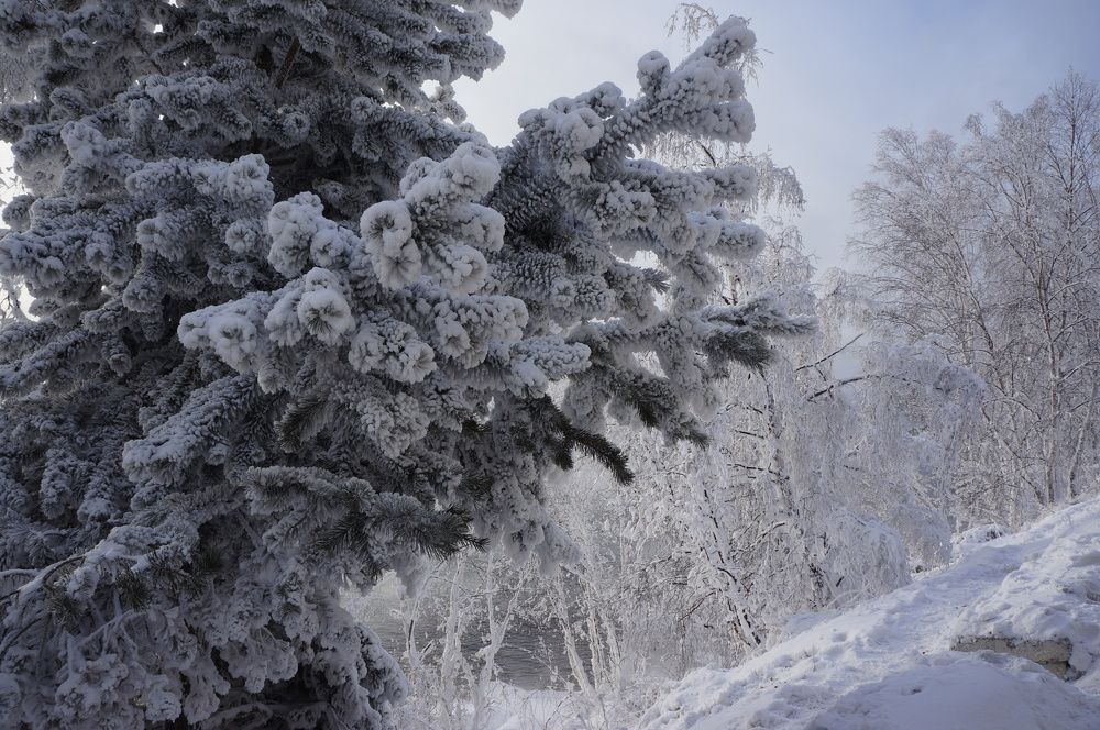 Photograph by Максим Роганов